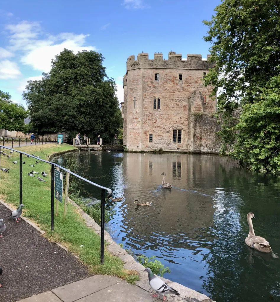 The Bishop's Palace and Moat, Wells