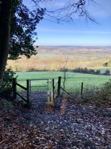 View over the Gordano Valley