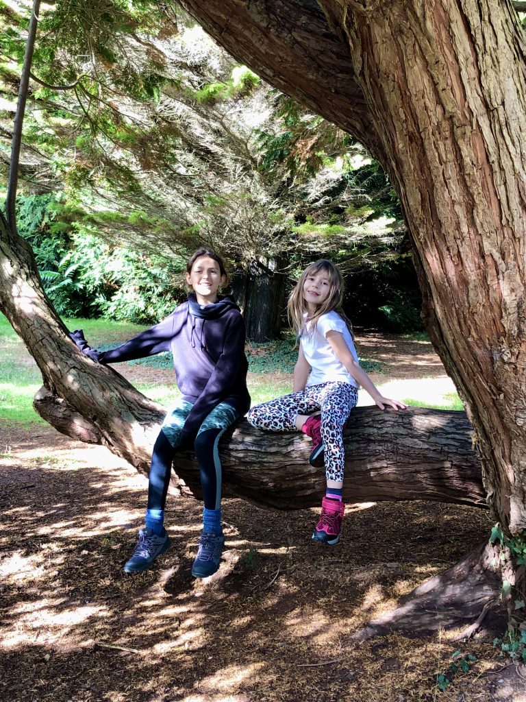 Two girls sat in a tree on Tyntesfield Estate