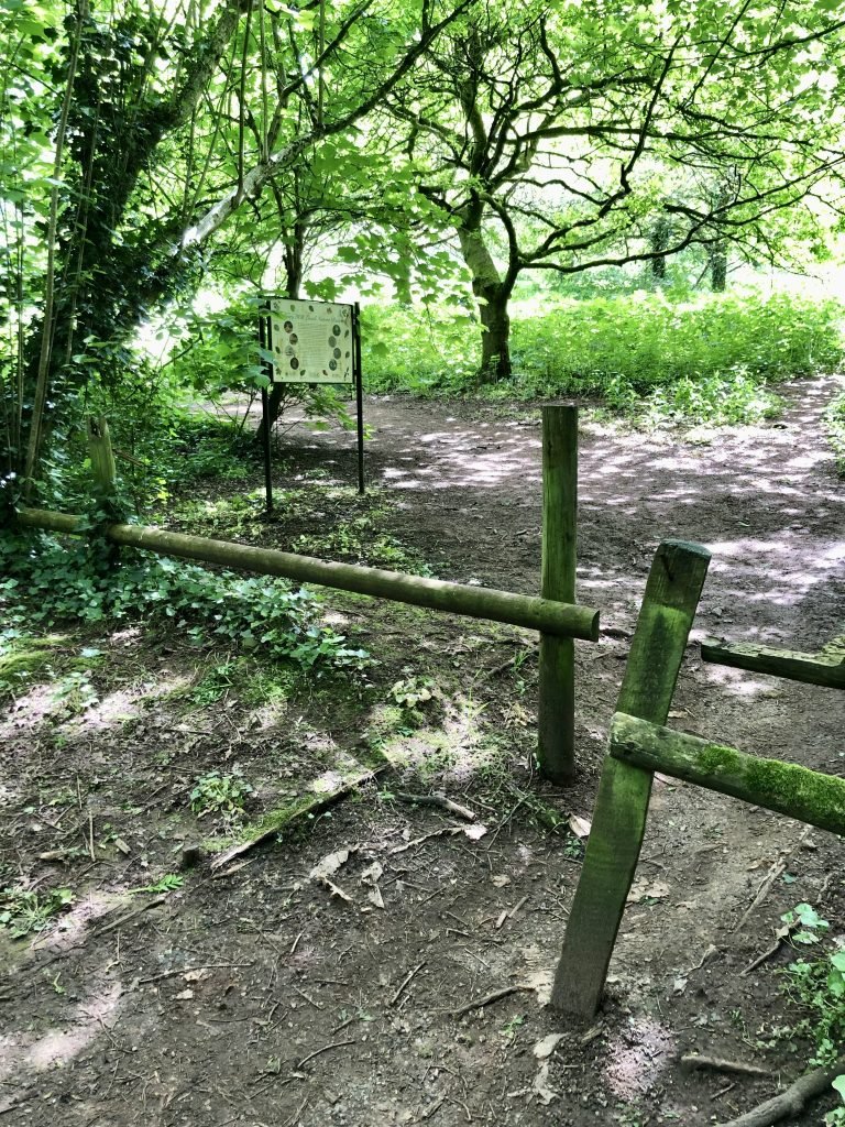 Cadbury Hill Walk