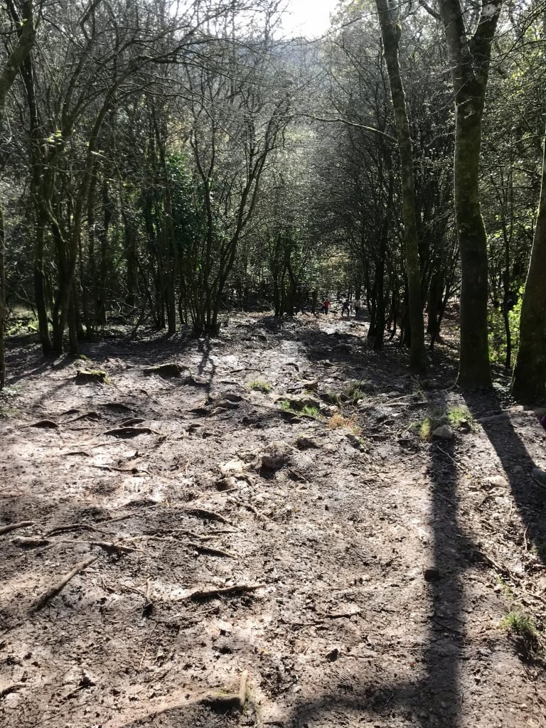 Rocky path - Cheddar Gorge Clifftop Walk