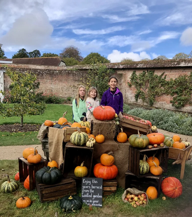 Things to do in Somerset at Halloween and in October Half Term