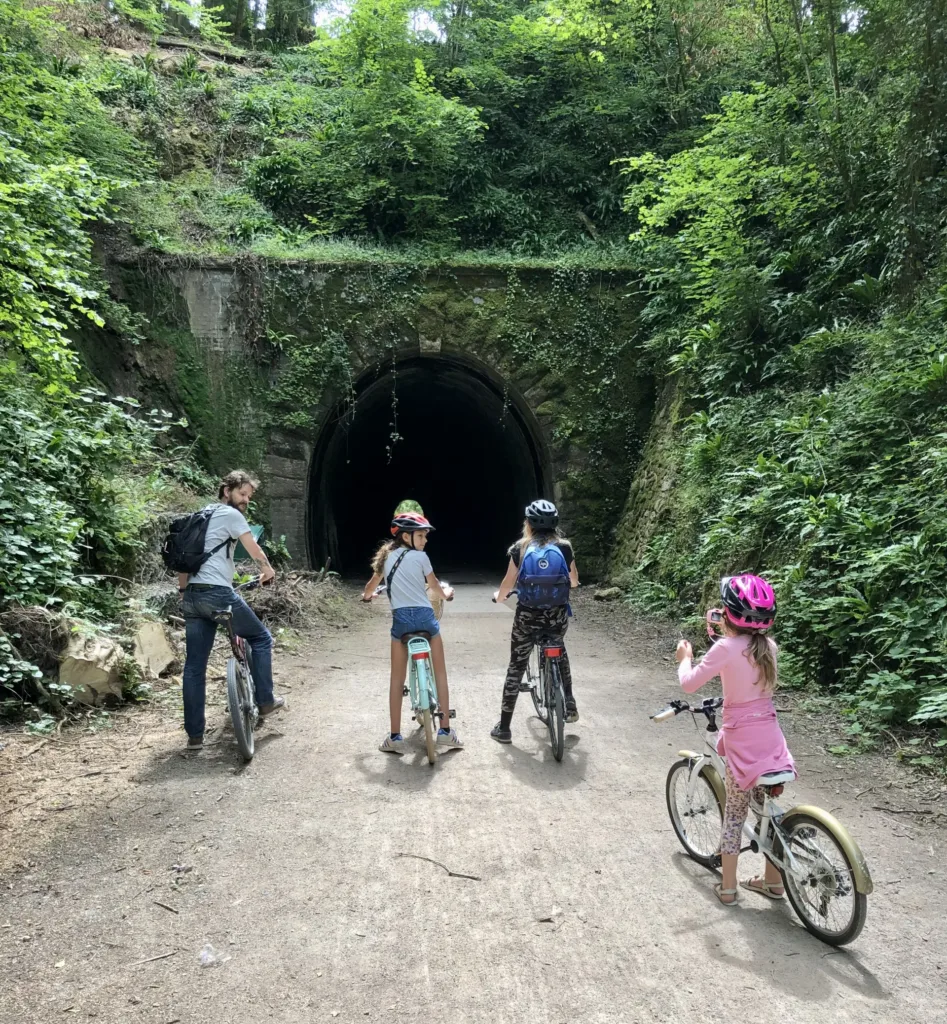 The Best Festivals In Somerset 2026 Somerset Family Adventures The Best Festivals In Somerset 2026 Somerset Family Adventures