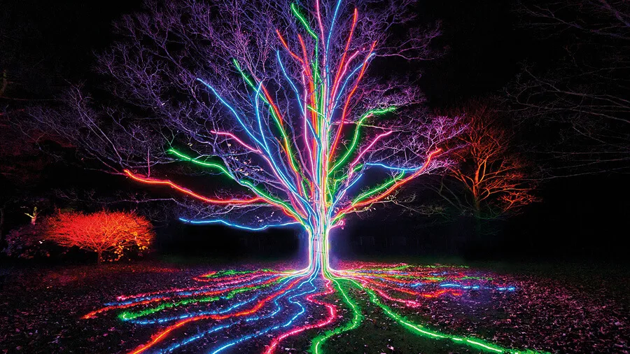 Christmas Lights at Stourhead National Trust