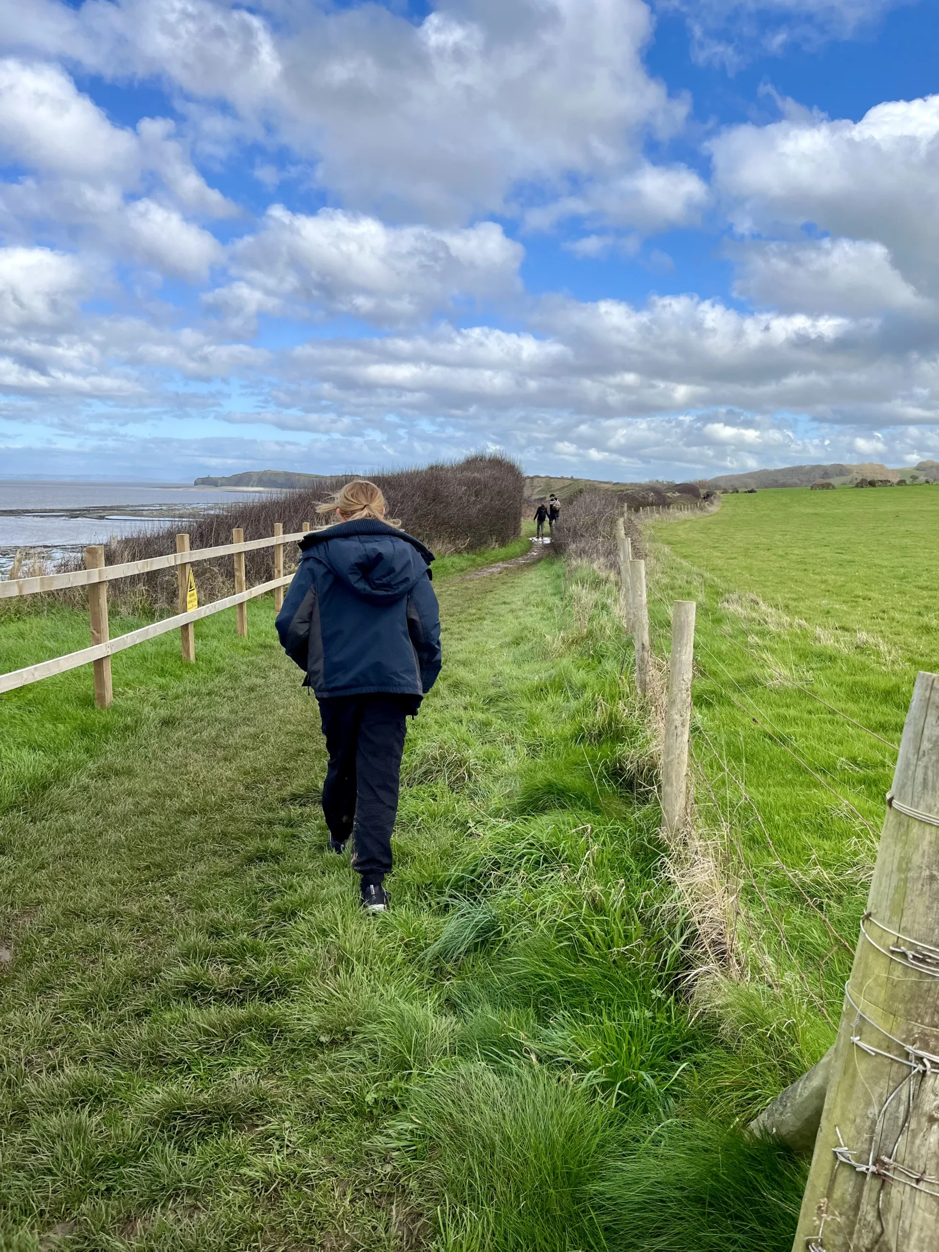 Somerset Coast Path walk, West Somerset