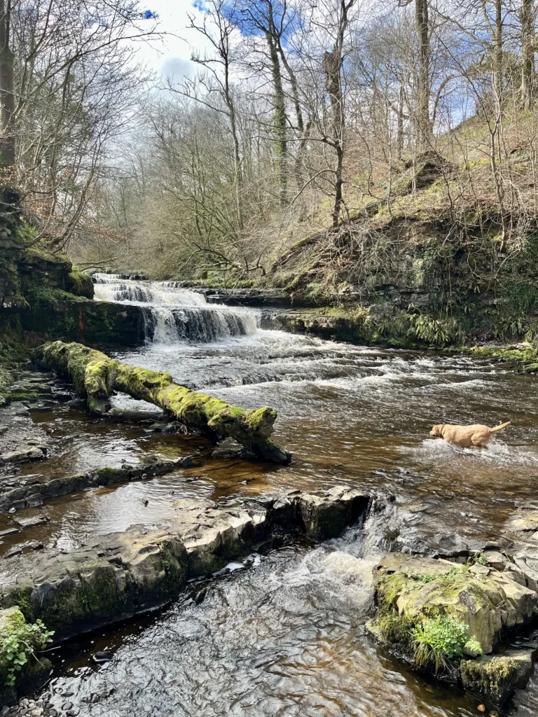 Lynn Glenn Falls, Dalry Ayrshire