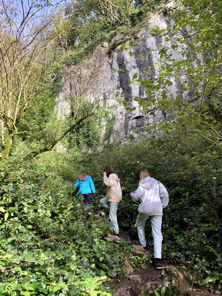 Ebbor Gorge Walk, Somerset