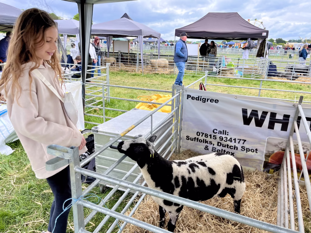 North Somerset Show
