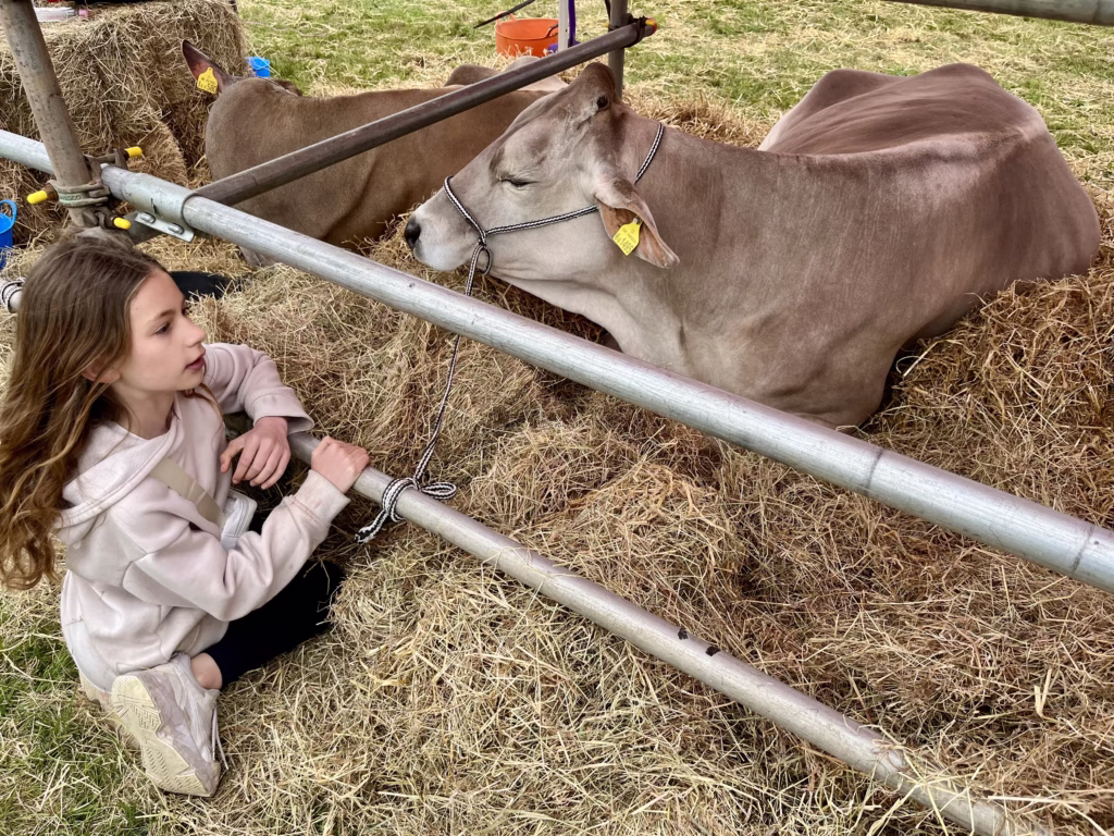 Somerset agricultural show