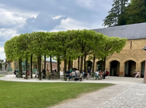 Cyder bar and London Plane Trees at The Newt in Somerset, Bruton