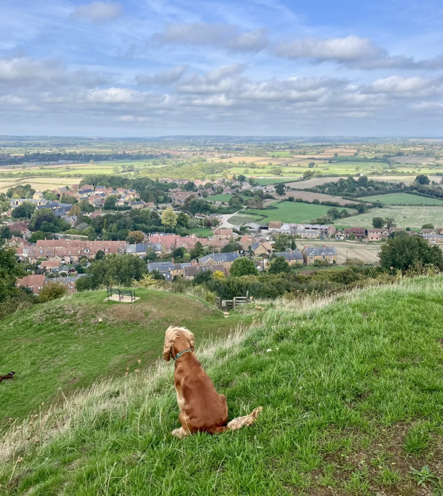 Ham Hill. View over South Somerset