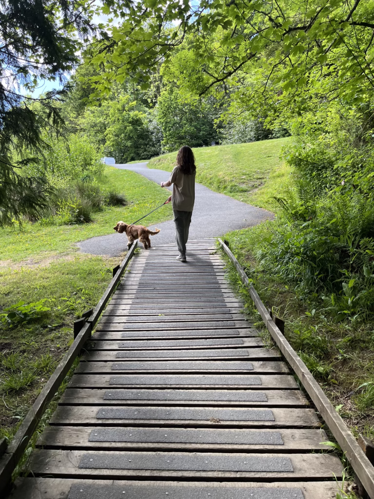 Walking the dog through Dean Castle