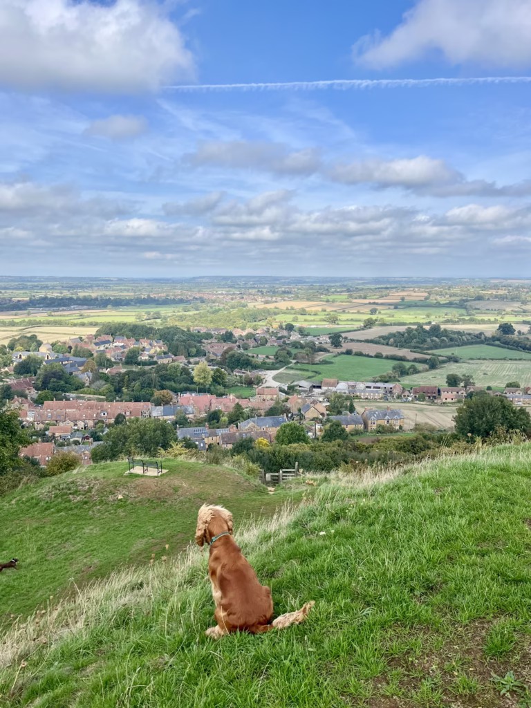 Dog Walk at Ham Hill in Somerset