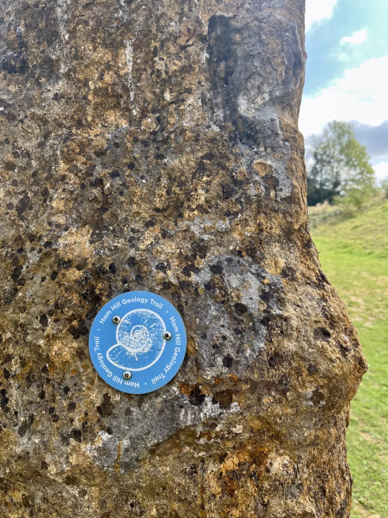 Geology Trail at Ham Hill Country Park, South Somerset