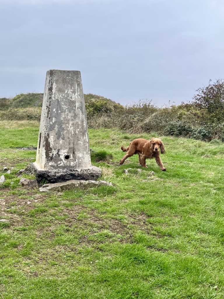 Sand Point and Middle Hope, Somerset dog walk
