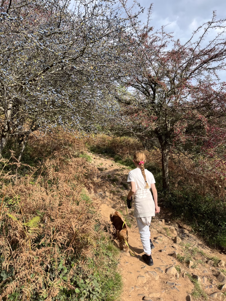 Dog walk at Cheddar Gorge Clifftop Walk, Somerset