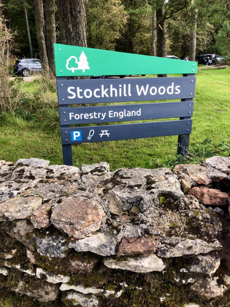 Stockhill Woods, Mendip Hills, Somerset