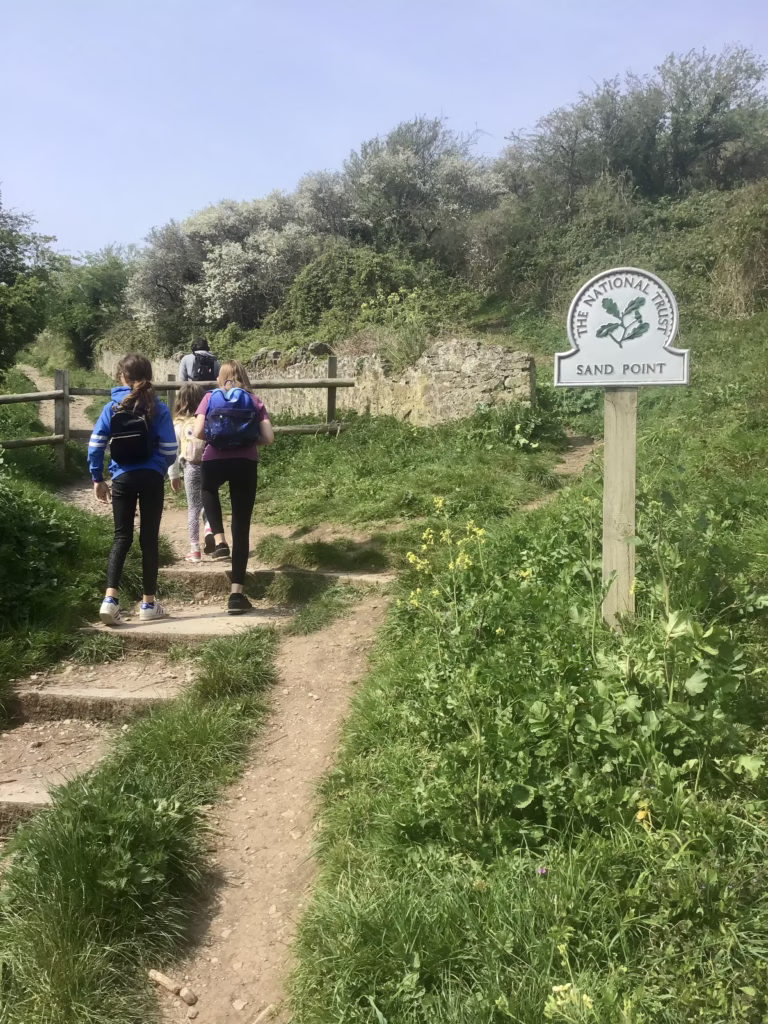Sand Point dog walk, Somerset