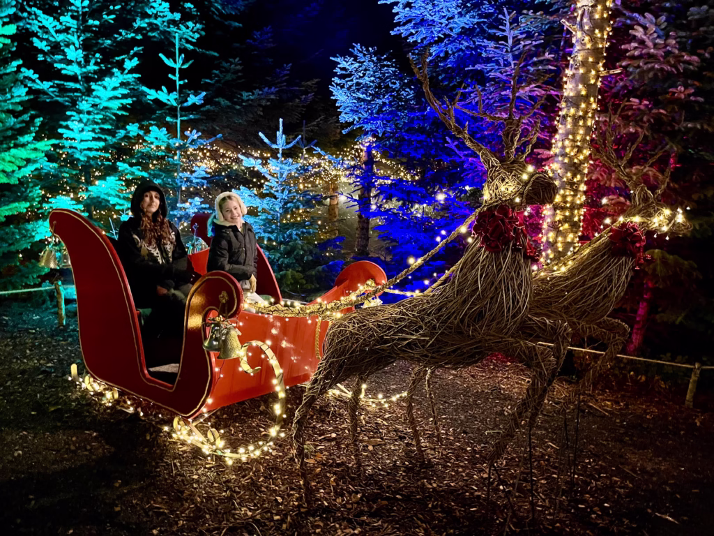 Sleigh at Enchantment at Langford l Lakes