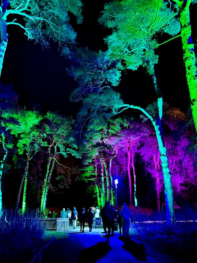 Christmas Light Trail at Westonbirt Arboretum