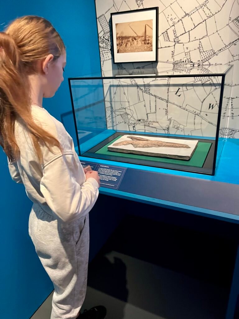 Exhibits of fossils found under the Clarks Shoemakers Museum
