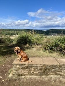 Viewpoint over the Gordano Valley