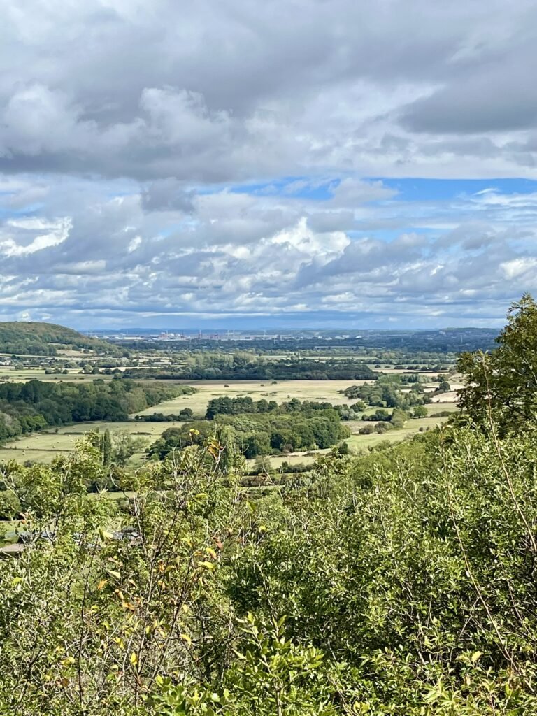 Portishead and Portbury in the distance