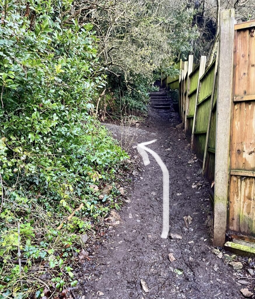Court wood and Norton's Wood Trail