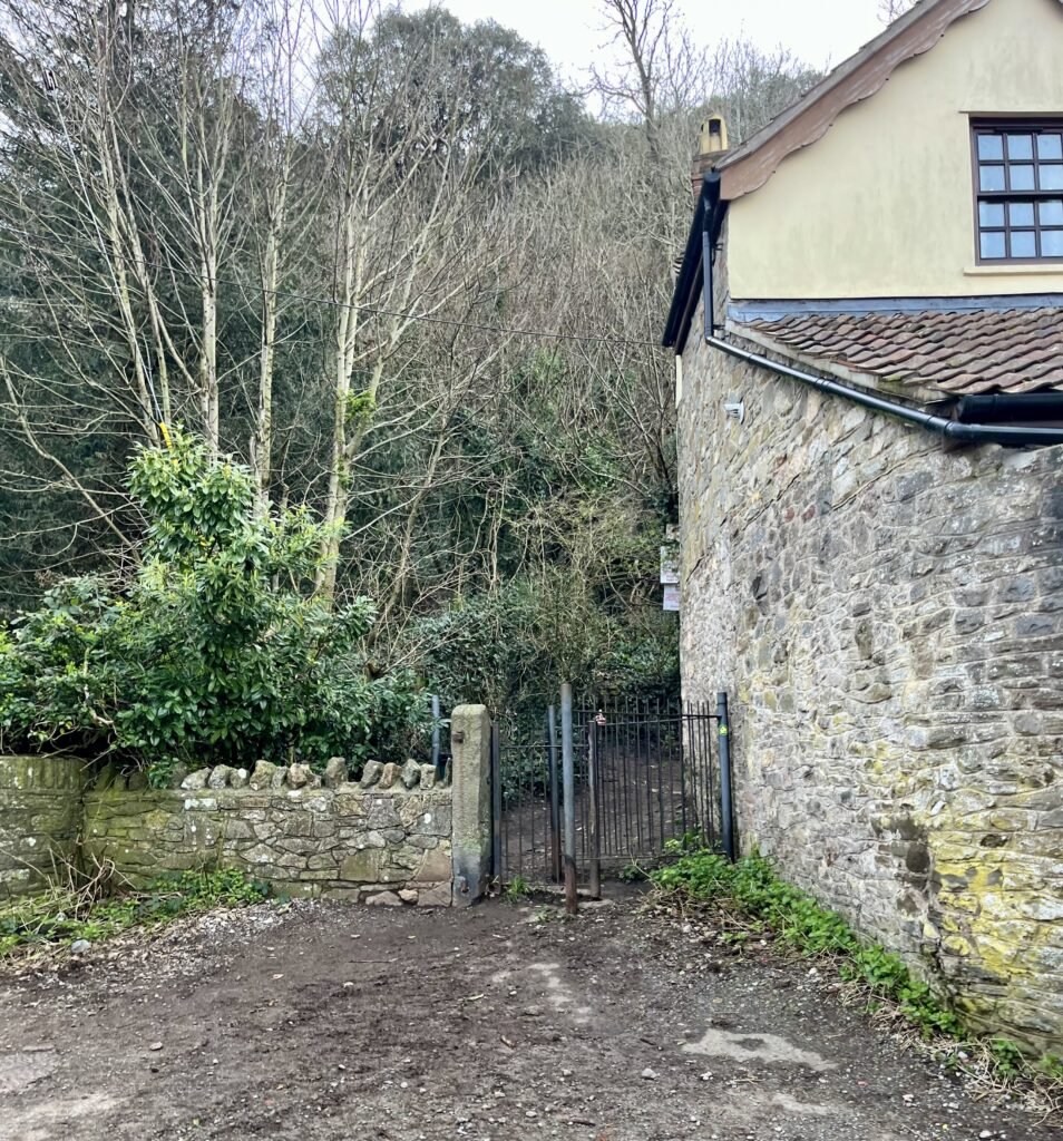 Entrance to Court Woods