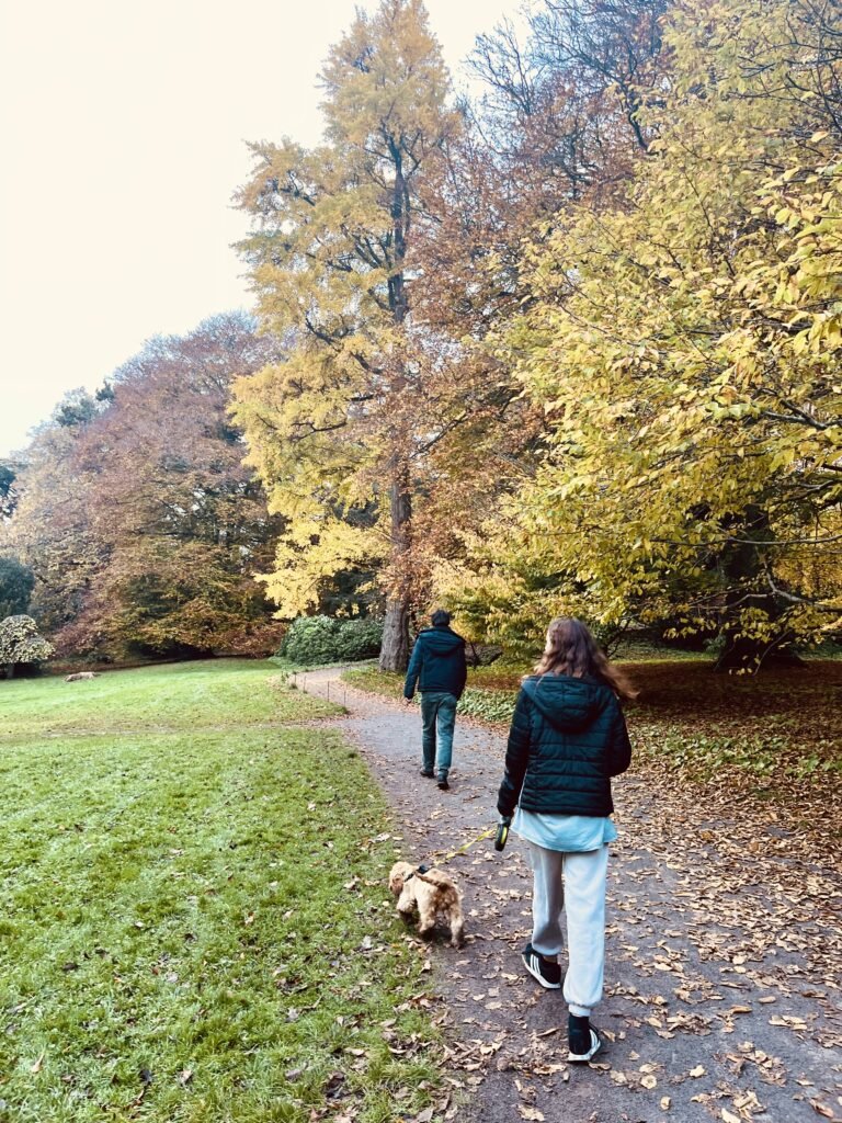 National Trust Tyntesfield, Somerset Garden