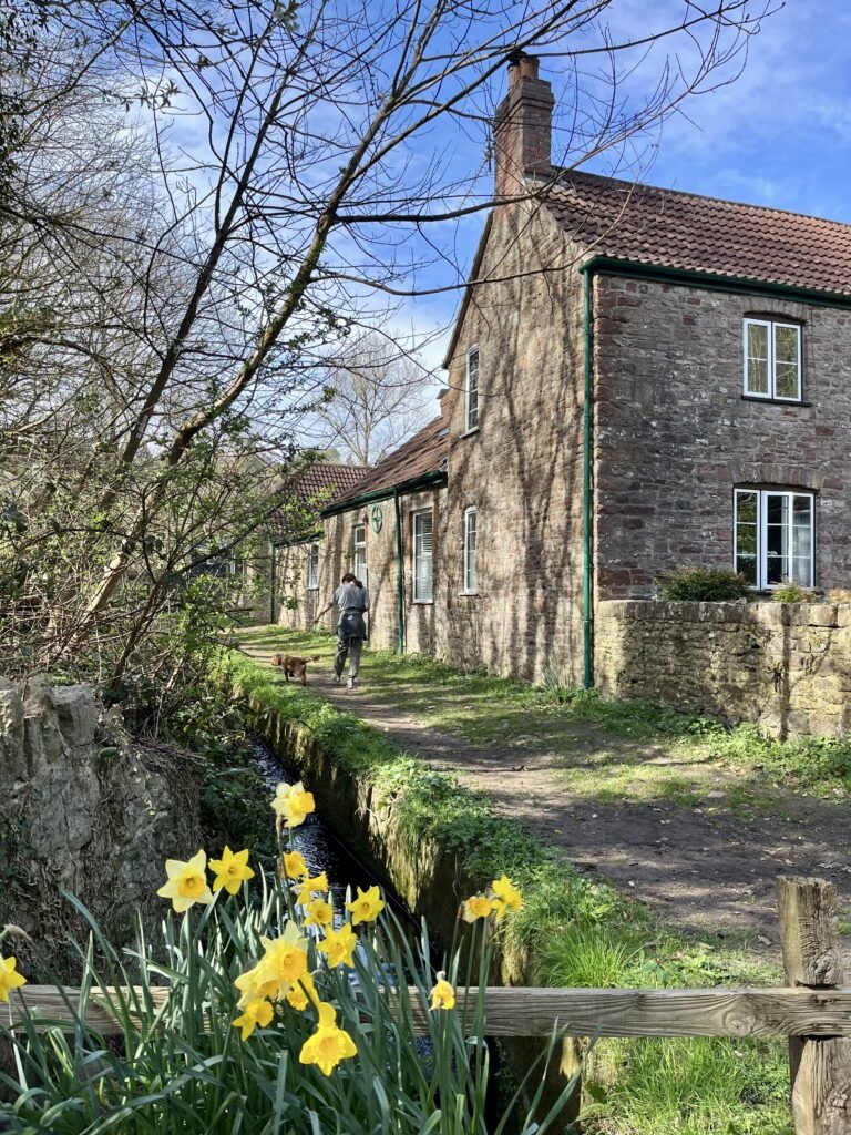 Spring Head Cottage in Walton in Gordano