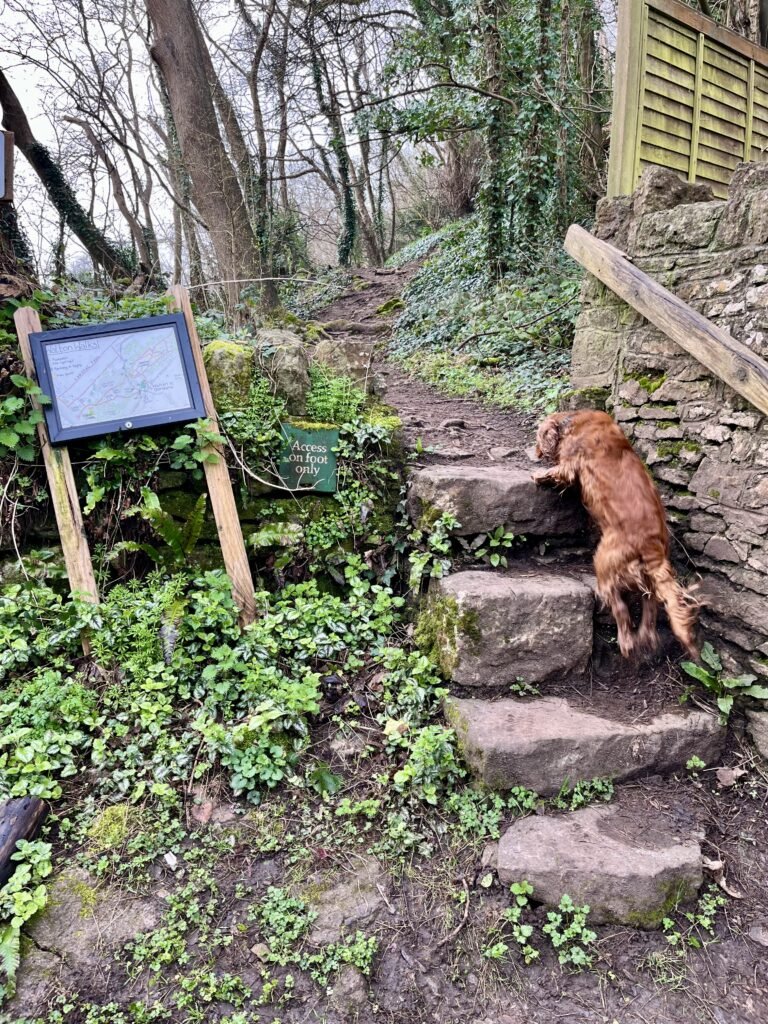 Steps leading up to rock Wood and Castle Hill.
