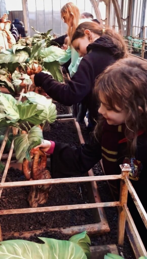Professor Sprout’s Greenhouse where visitors pull Mandrakes at the Harry Potter Studio Tour London