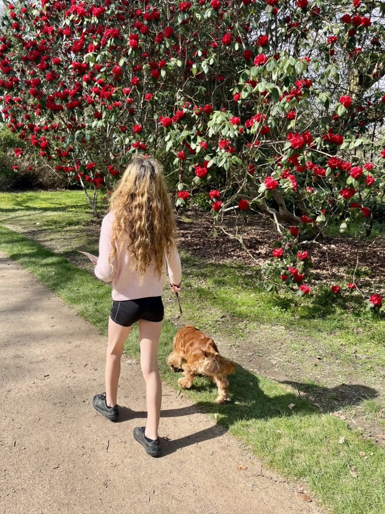 Walking around Stourhead National Trust Estate