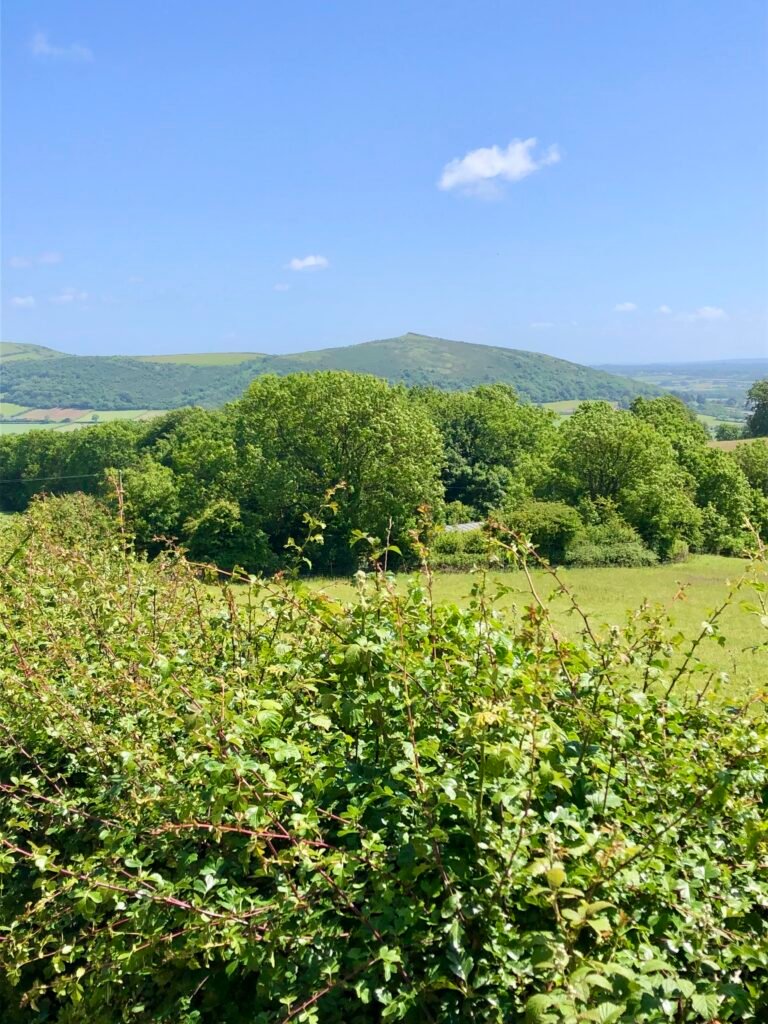 view of Crook Peak from Bleadon Hill