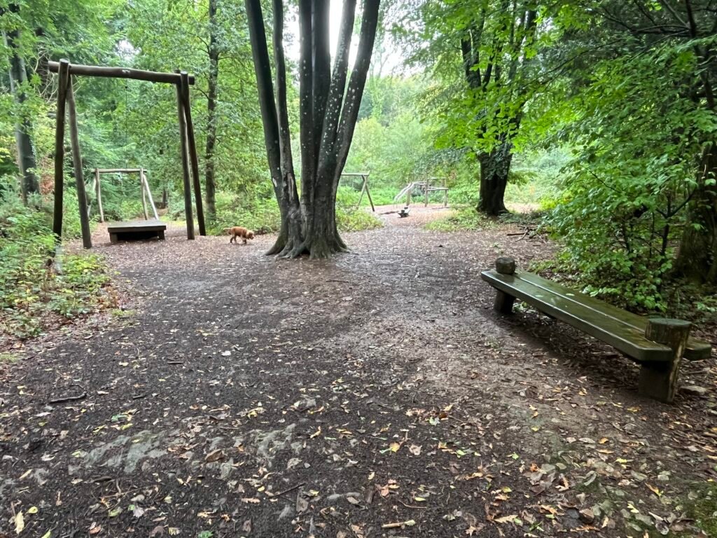 Wooden play area in Worlebury Woods, Weston super Mare