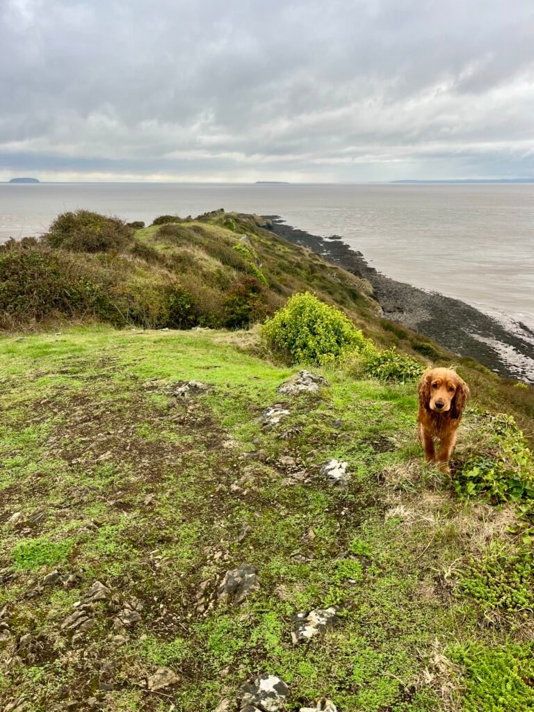 Sand Point, Weston super Mare