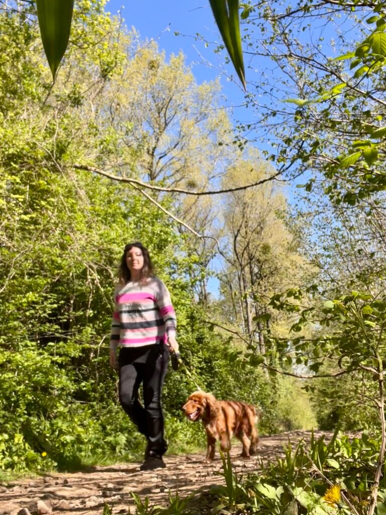 Walk in Somerset with a dog