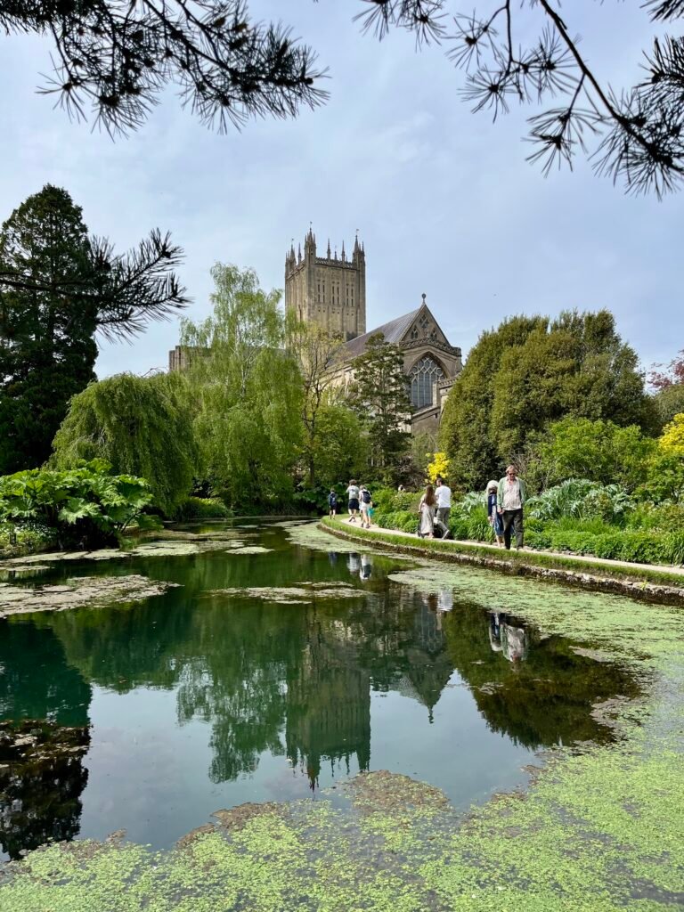 Bishop's Palace Gaedens, Wells Somerset