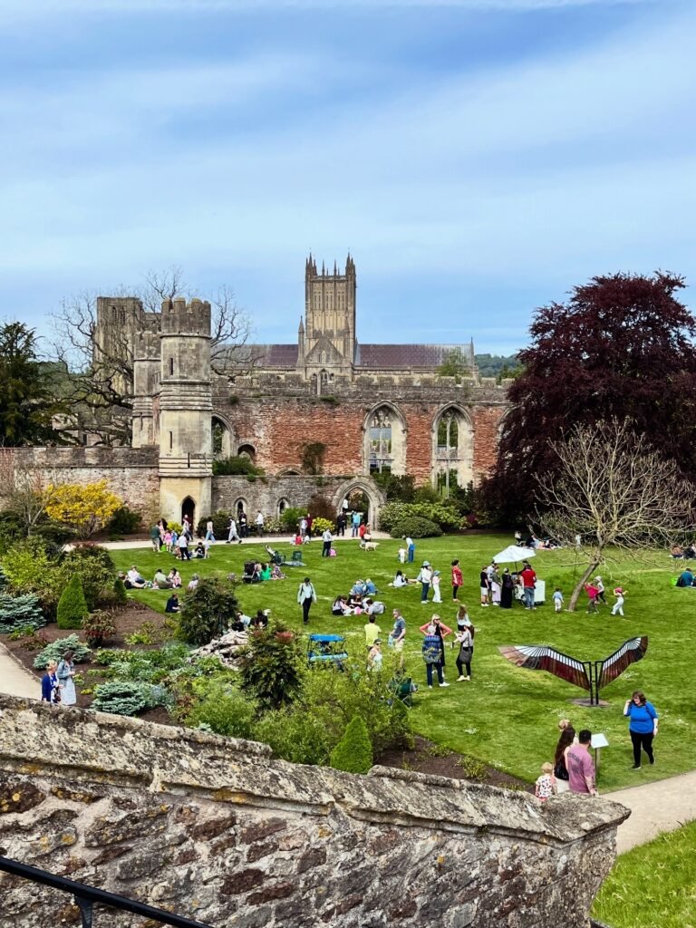 The Bishop's Palace Gardens, Wells