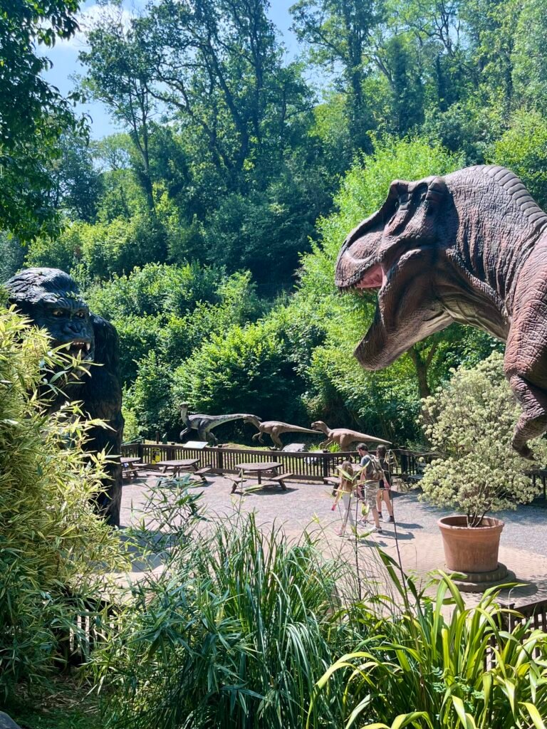 Dinosaur Valley, Wookey Hole, Somerset