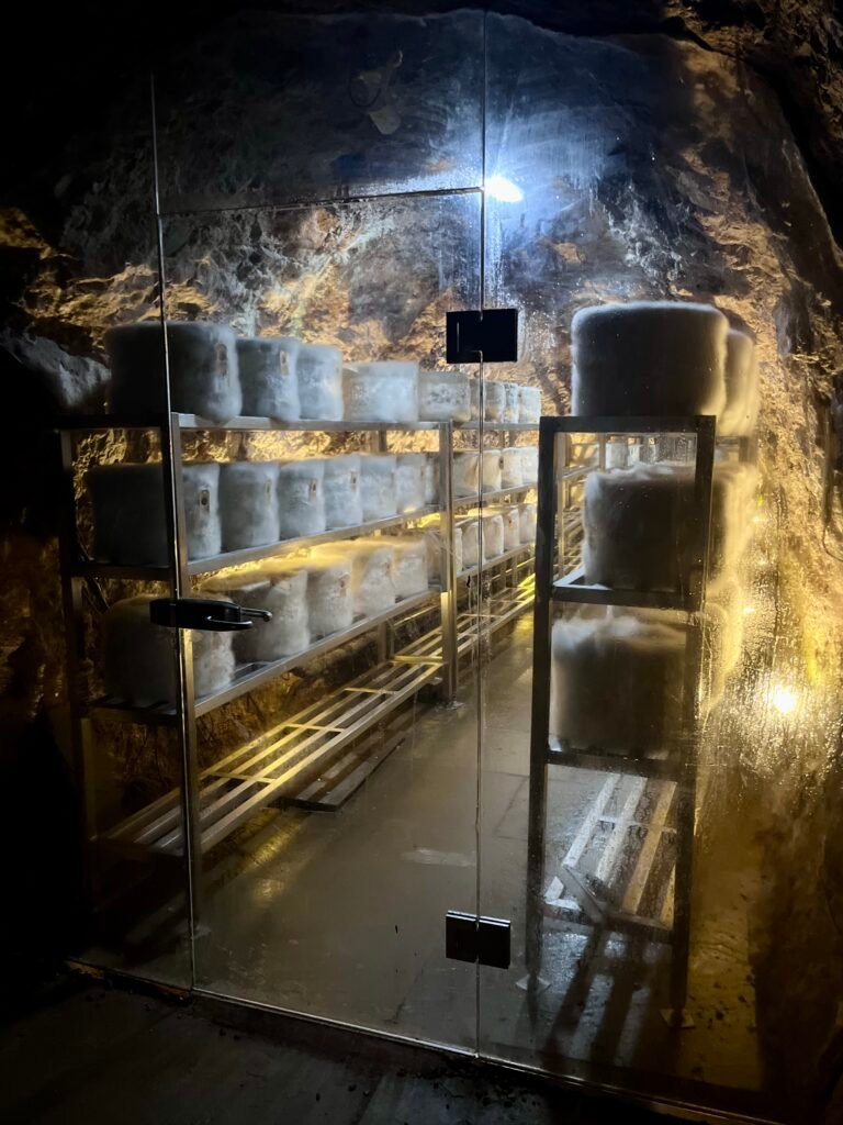 Wookey Hole cave-aged Cheddar Cheese