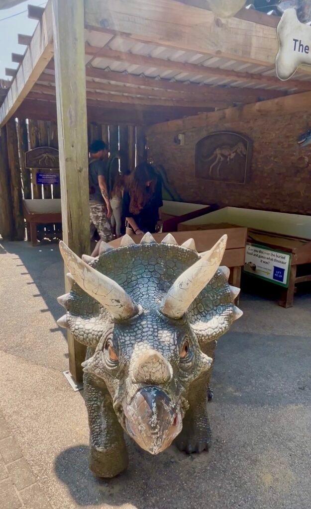 Dinosaur Valley at Wookey Hole, Somerset