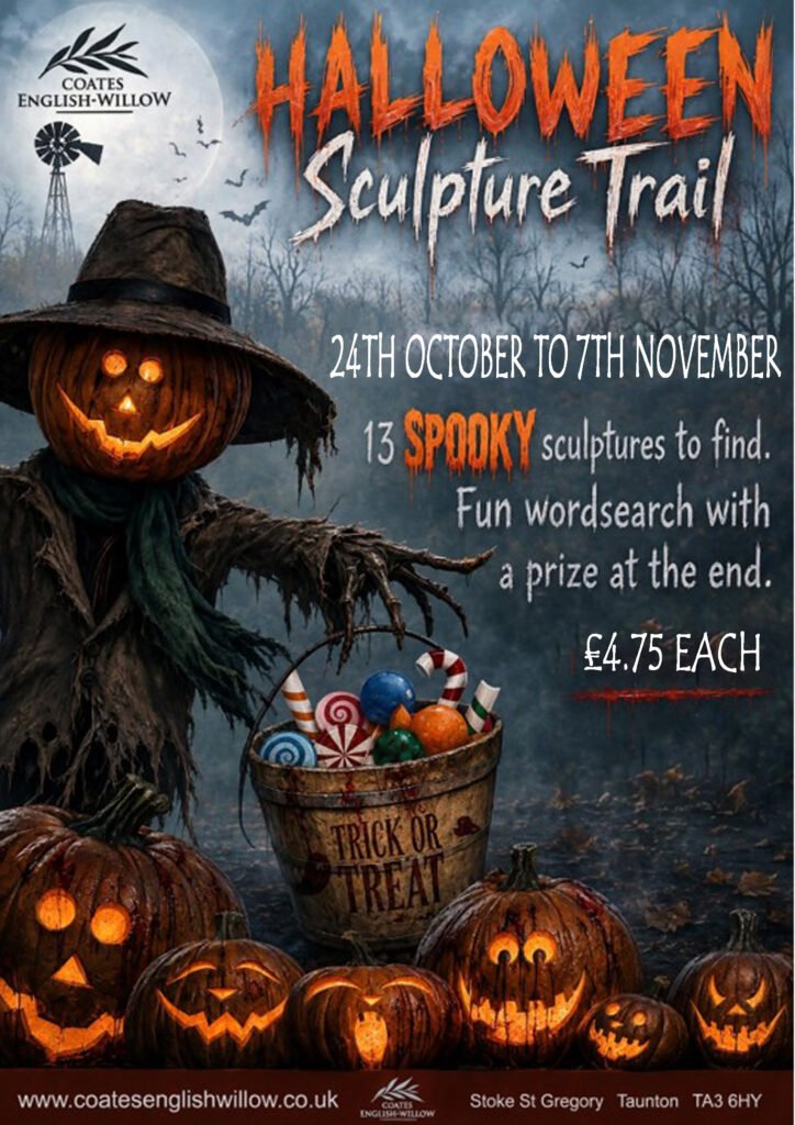 Halloween at Coates English Willow, Somerset