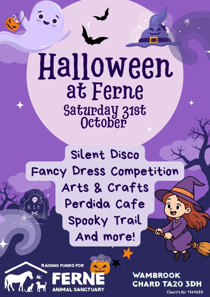 Halloween at Ferne Animal Sanctuary