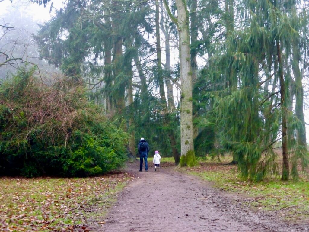 Wlking in Westonbirt Arboretum