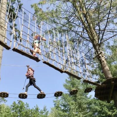 Go Ape, Forest of Dean