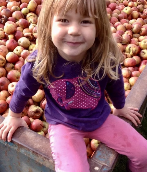 Apples at Thatchers Cider Farm